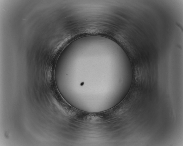 X0000101480208200807211406