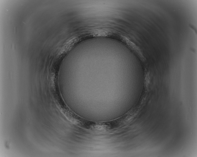 X0000101480209200807211406