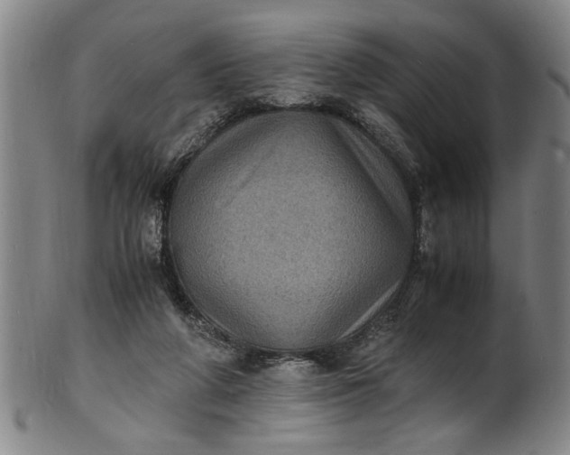 X0000101480210200807211406