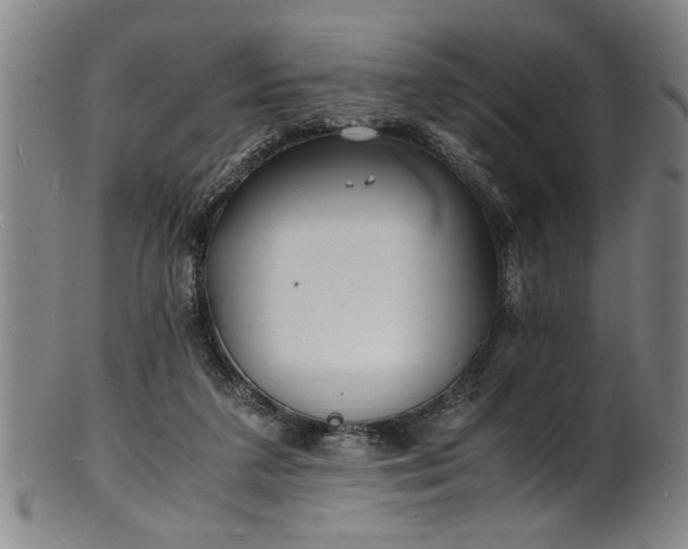 X0000101480211200807211406