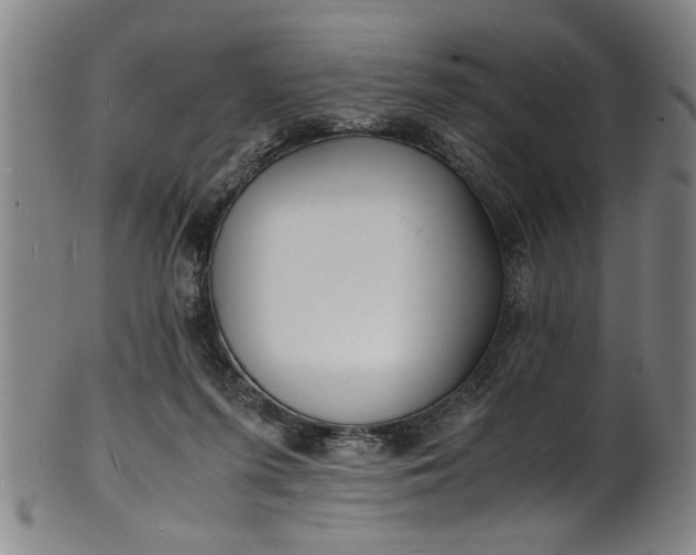 X0000101480215200807211406