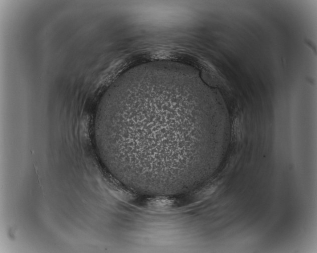 X0000101480217200807211406