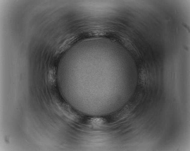 X0000101480218200807211406