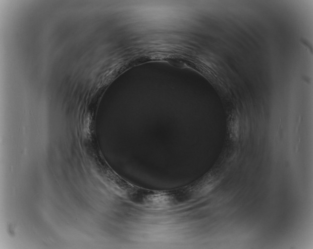 X0000101480219200807211406