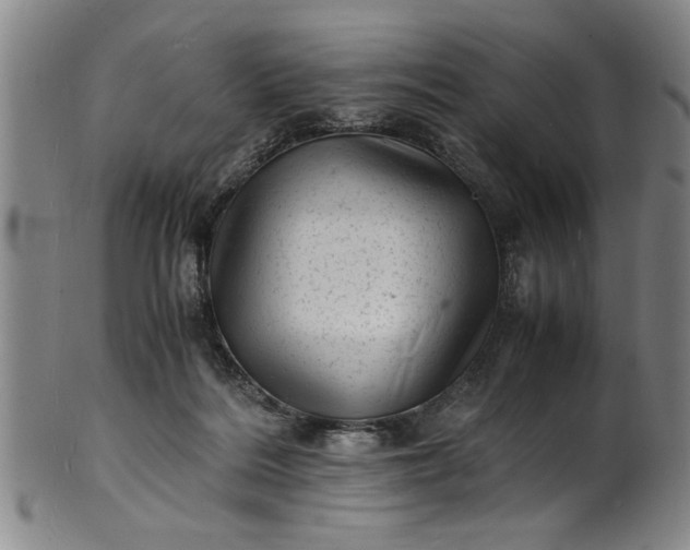 X0000101480220200807211406