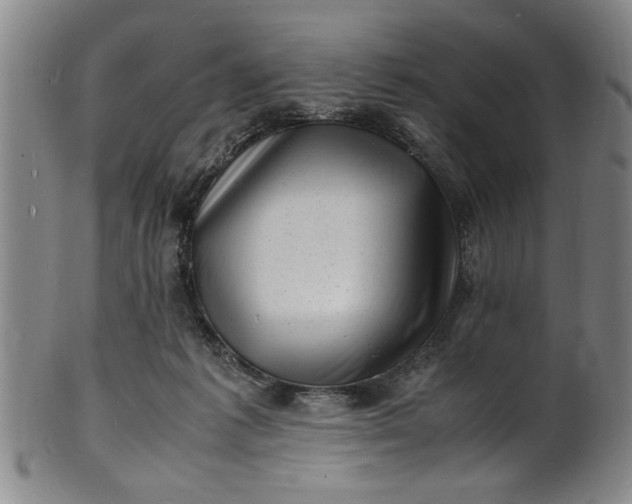 X0000101480221200807211406