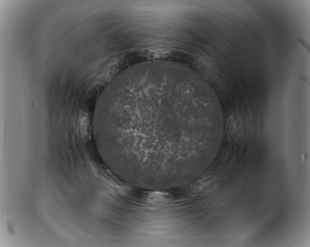 X0000101480222200807211406