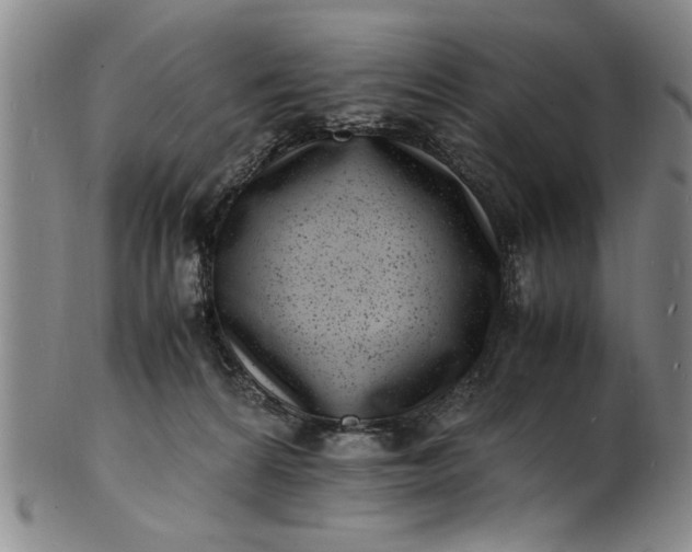 X0000101480224200807211406