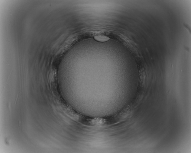 X0000101480225200807211406