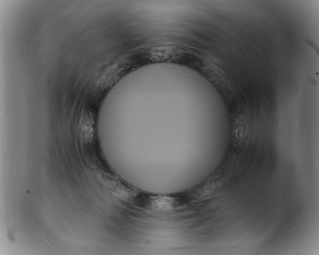 X0000101480226200807211406