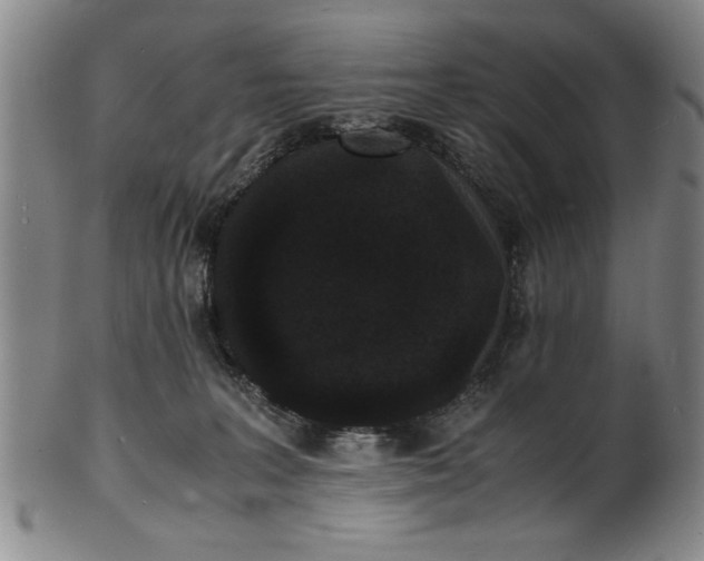 X0000101480227200807211406