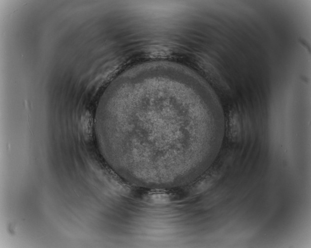 X0000101480228200807211406