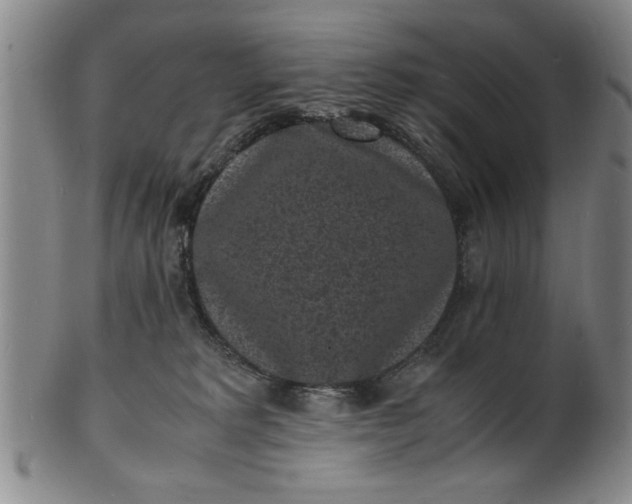 X0000101480229200807211406