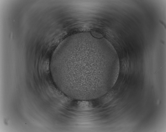 X0000101480230200807211406