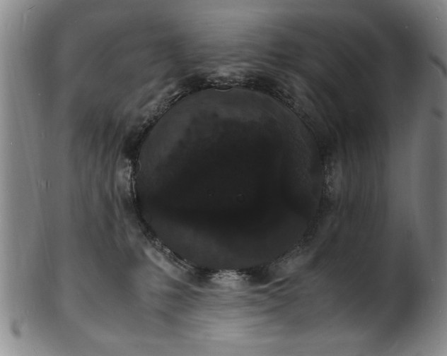 X0000101480231200807211406