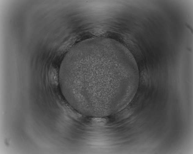 X0000101480234200807211406