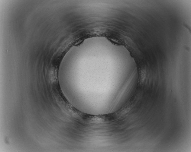 X0000101480236200807211406