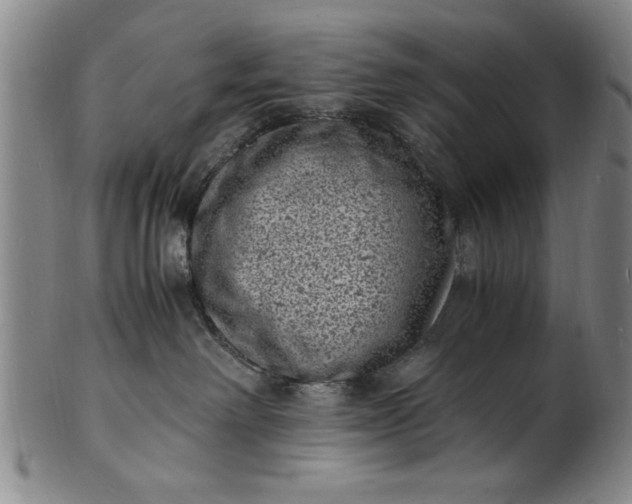 X0000101480238200807211406