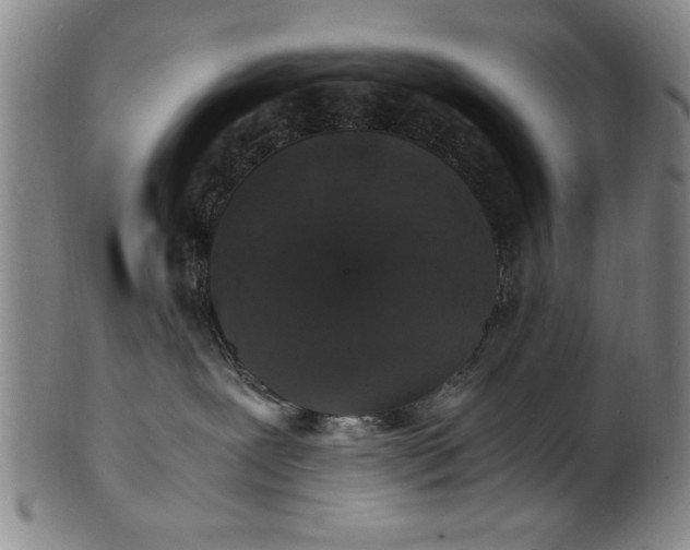 X0000101480239200807211406