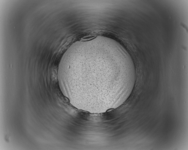 X0000101480240200807211406