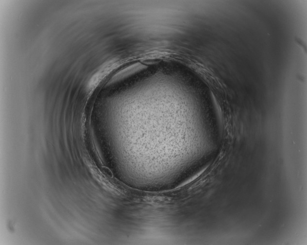 X0000101480242200807211405