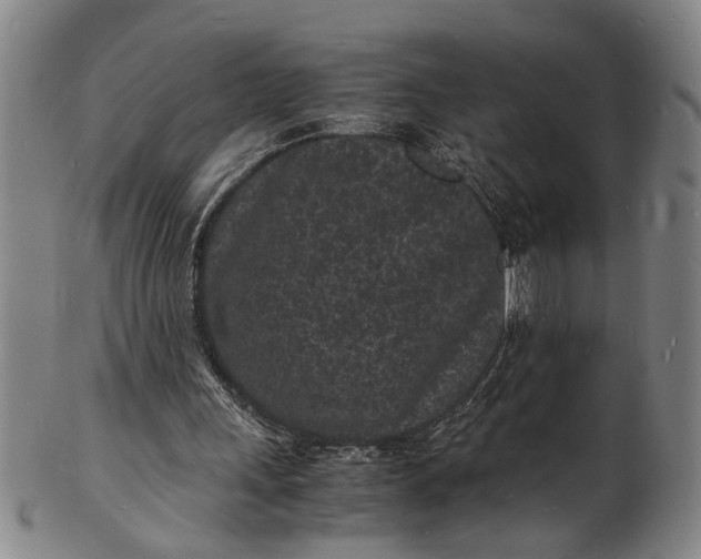 X0000101480243200807211405