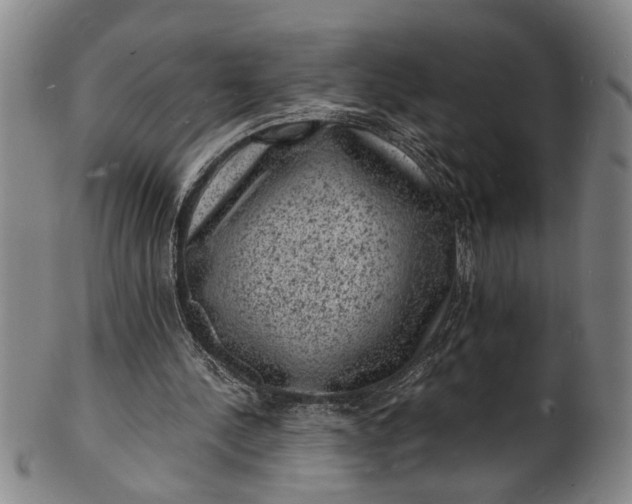 X0000101480244200807211405