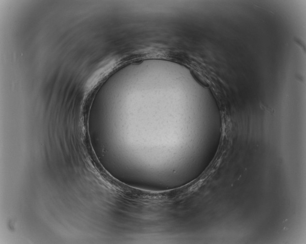 X0000101480245200807211405