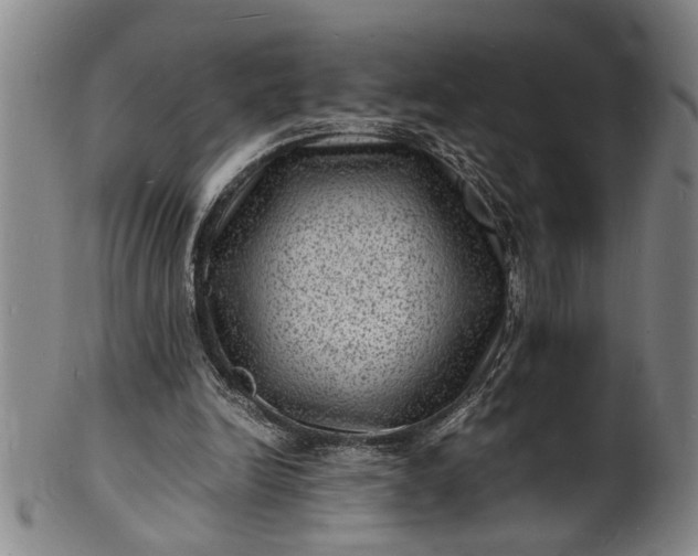 X0000101480246200807211405