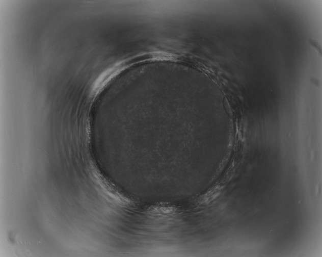 X0000101480247200807211405