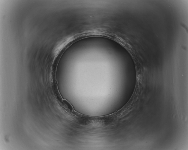 X0000101480248200807211405