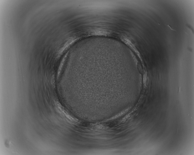 X0000101480249200807211405