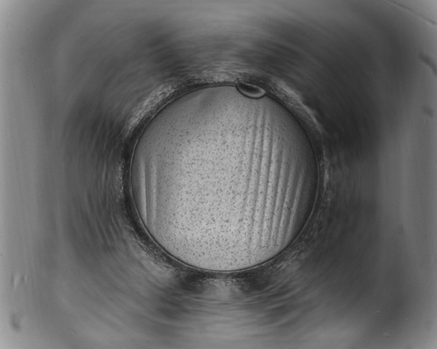 X0000101480250200807211405