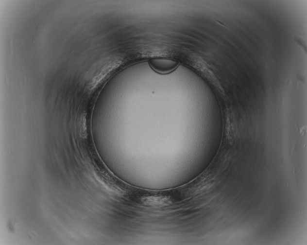 X0000101480251200807211405