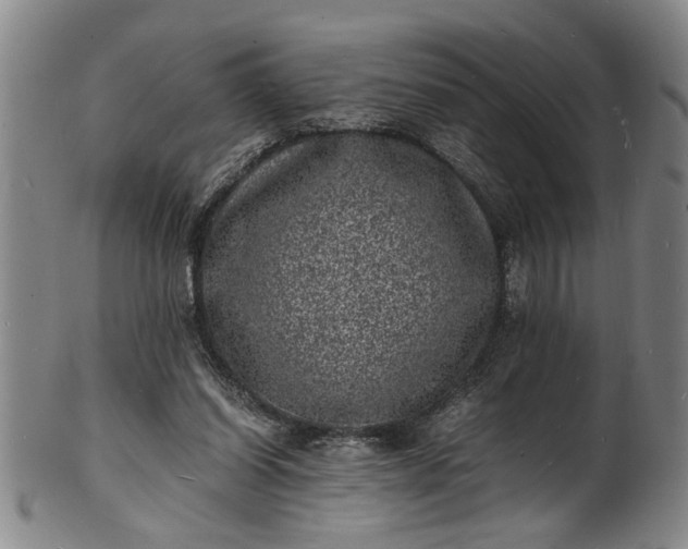 X0000101480254200807211405