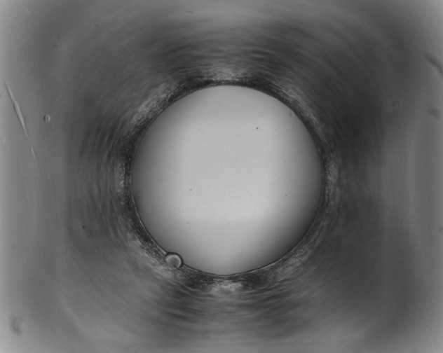 X0000101480257200807211406