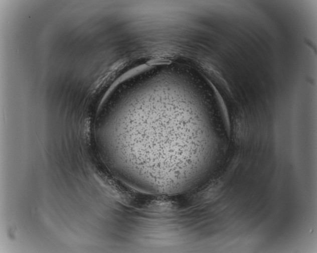 X0000101480260200807211406