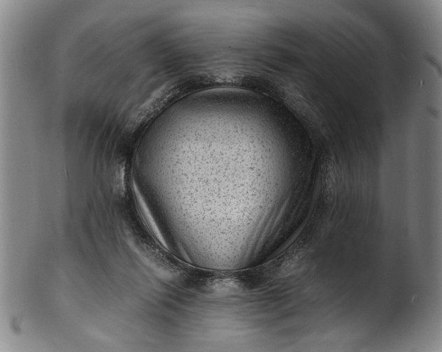 X0000101480262200807211406