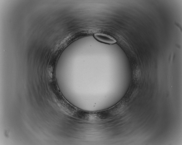 X0000101480264200807211406