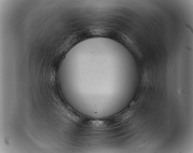 X0000101480265200807211406