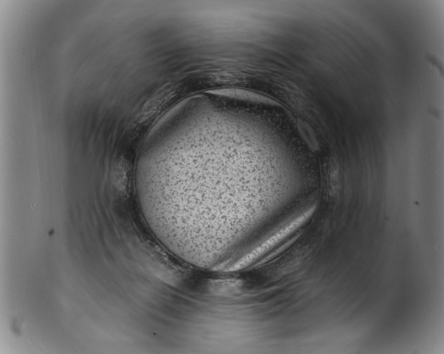 X0000101480266200807211406