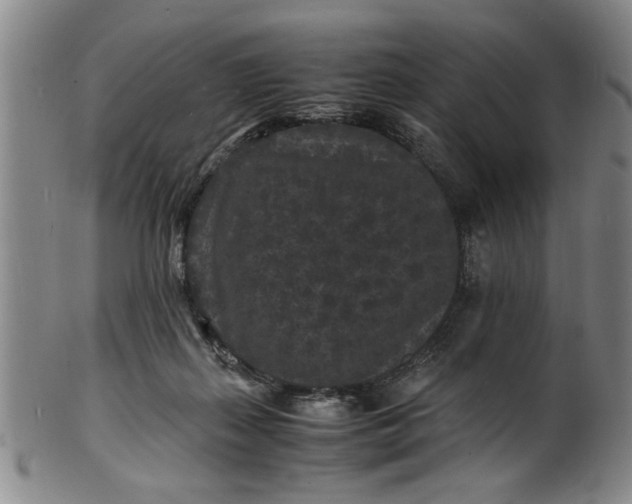 X0000101480267200807211406