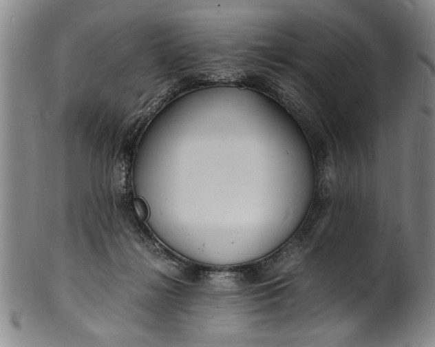 X0000101480268200807211406