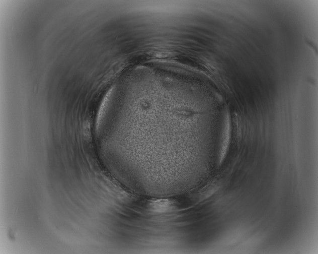 X0000101480269200807211406