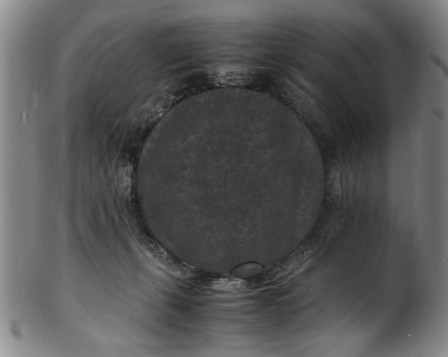 X0000101480271200807211406