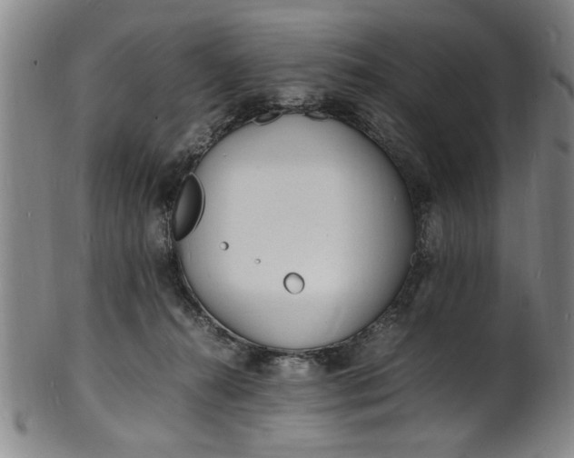 X0000101480272200807211406