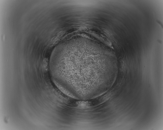 X0000101480273200807211406