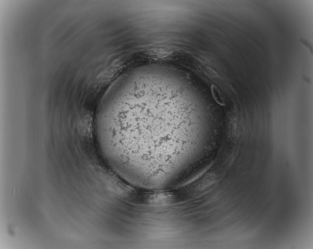 X0000101480274200807211406