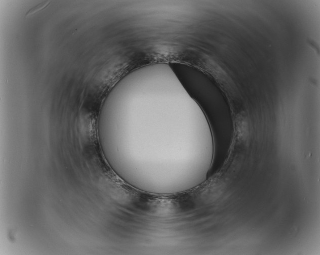 X0000101480276200807211406