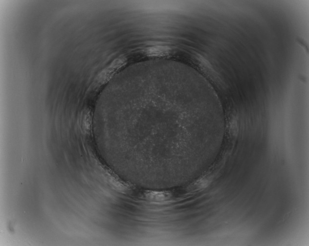 X0000101480277200807211406